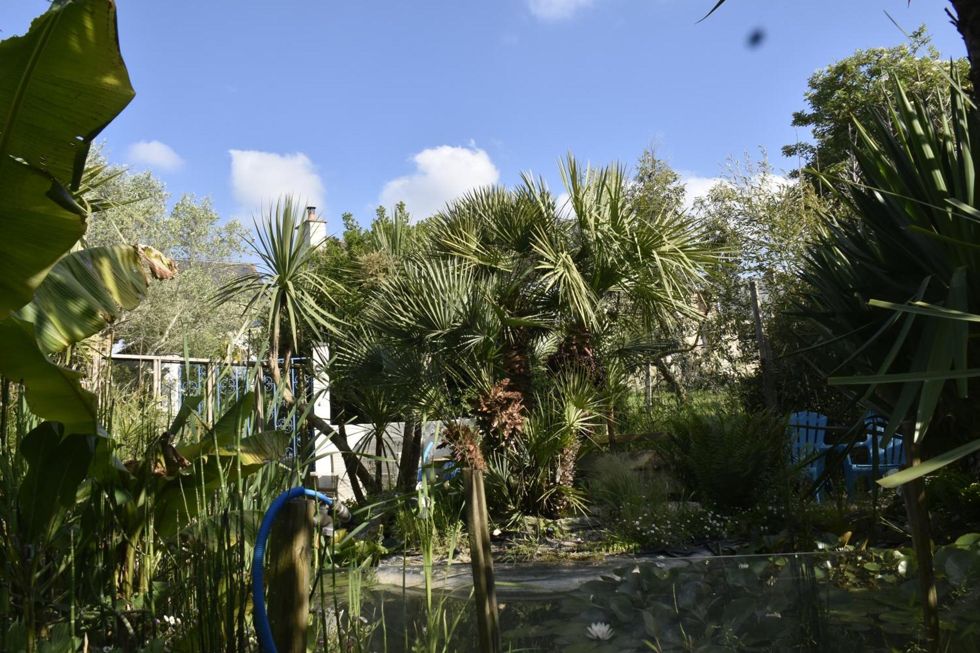 Gite "Rose Des Vents" - 800M De La Plage - Proche Commerces - Piscine En Juillet Et Aout 叙尔坦维尔 外观 照片